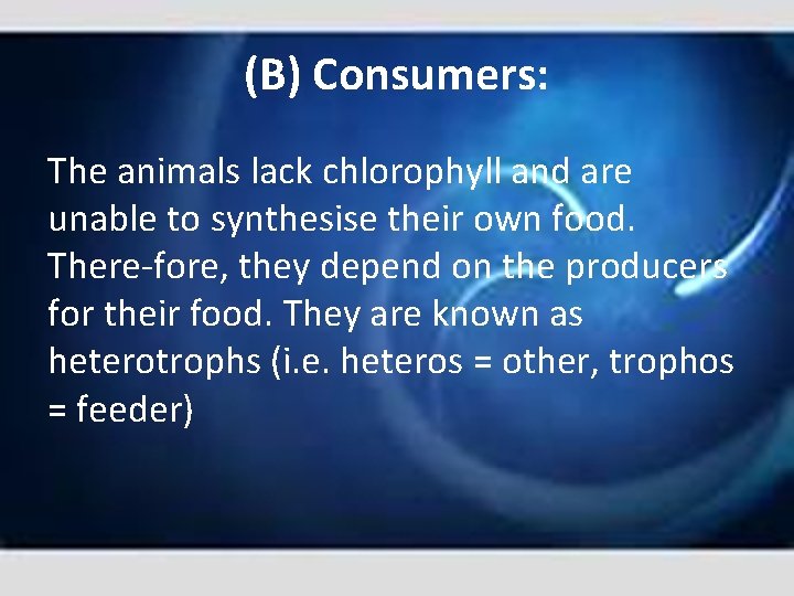 (B) Consumers: The animals lack chlorophyll and are unable to synthesise their own food.