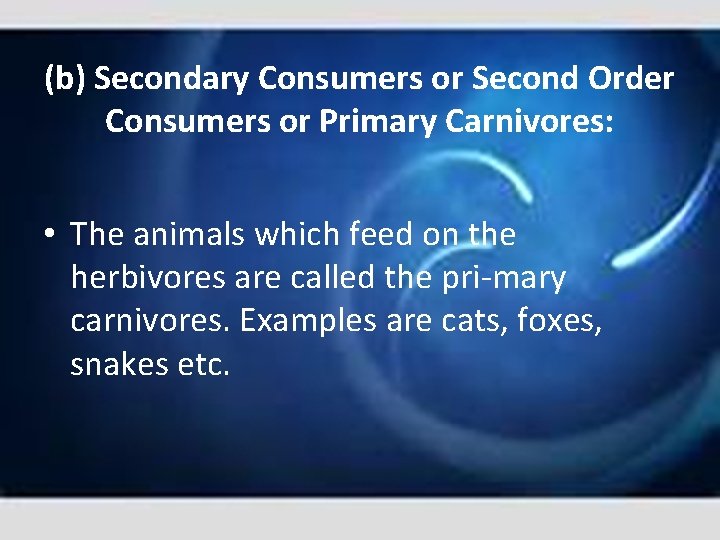 (b) Secondary Consumers or Second Order Consumers or Primary Carnivores: • The animals which