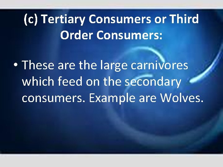 (c) Tertiary Consumers or Third Order Consumers: • These are the large carnivores which