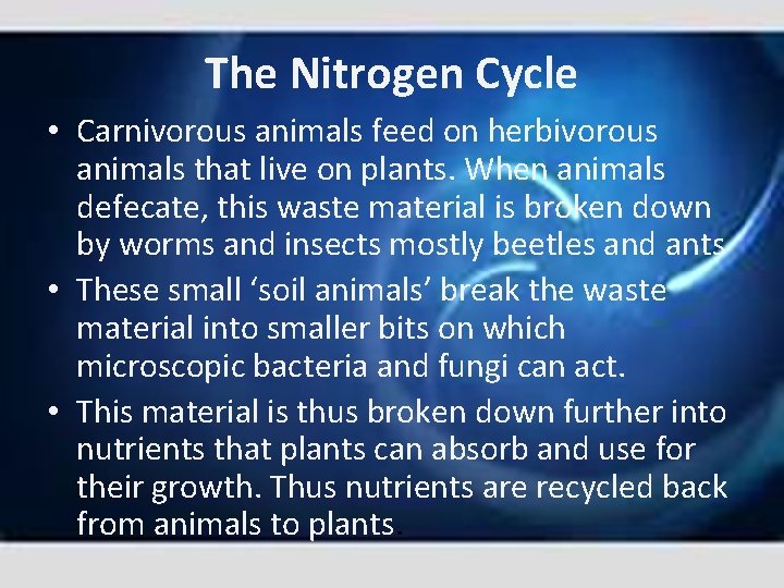 The Nitrogen Cycle • Carnivorous animals feed on herbivorous animals that live on plants.