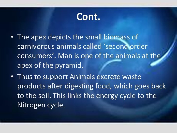 Cont. • The apex depicts the small biomass of carnivorous animals called ‘second order