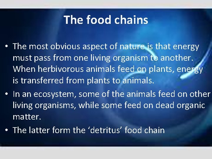 The food chains • The most obvious aspect of nature is that energy must