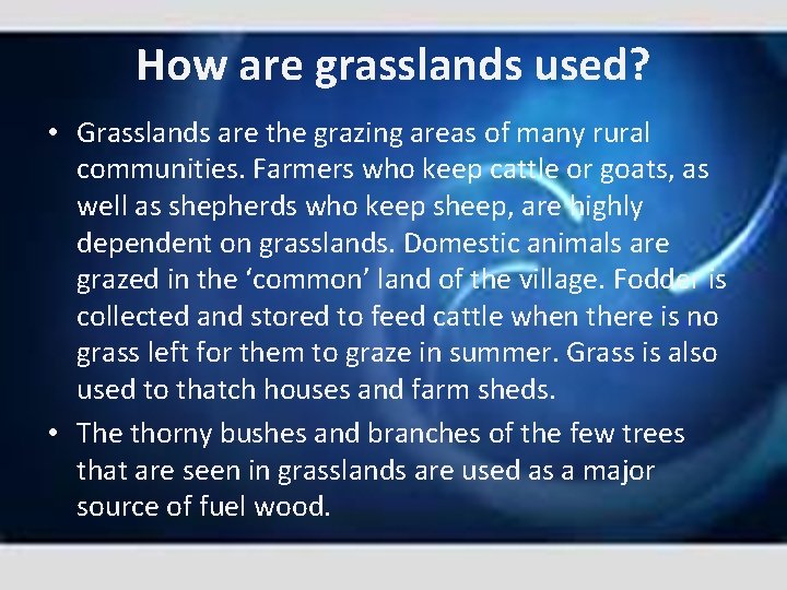 How are grasslands used? • Grasslands are the grazing areas of many rural communities.