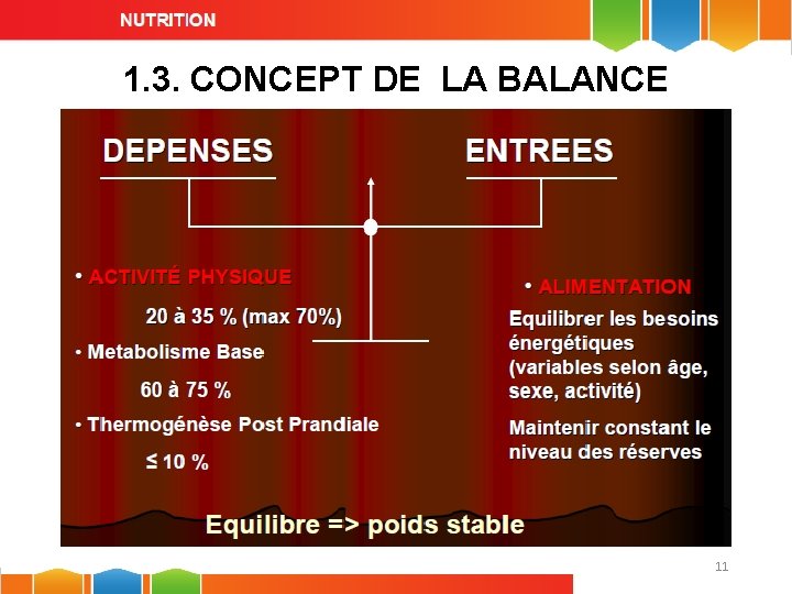 1. 3. CONCEPT DE LA BALANCE ENERGETIQUE 11 