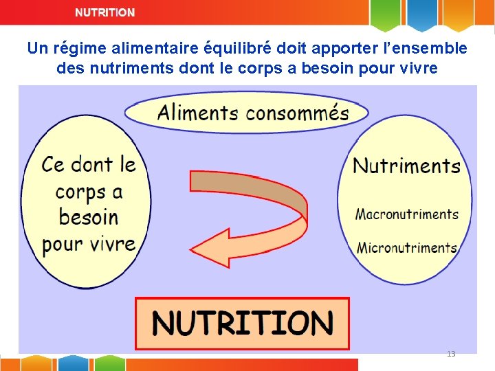 Un régime alimentaire équilibré doit apporter l’ensemble des nutriments dont le corps a besoin