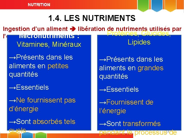 1. 4. LES NUTRIMENTS Macronutriments : Ingestion d’un aliment libération de nutriments utilisés par