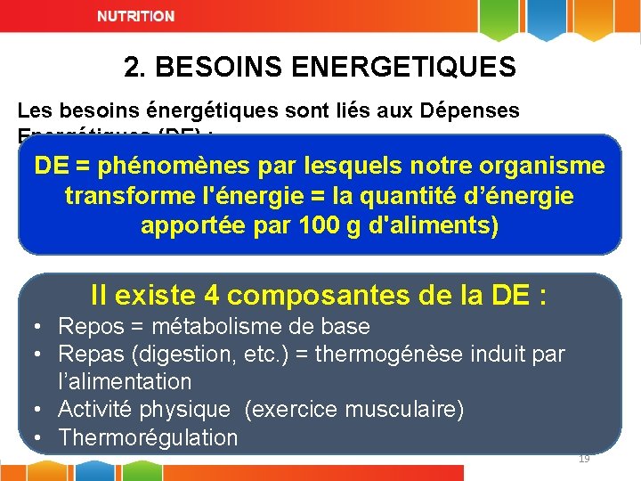 2. BESOINS ENERGETIQUES Les besoins énergétiques sont liés aux Dépenses Energétiques (DE) : DE