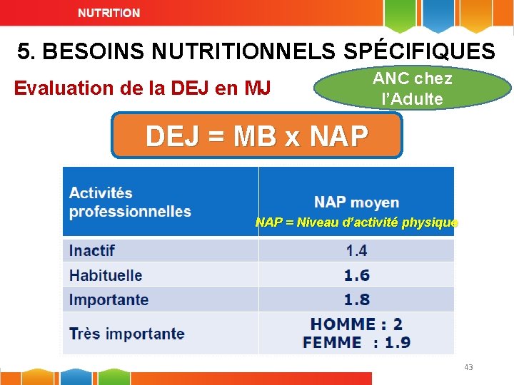 5. BESOINS NUTRITIONNELS SPÉCIFIQUES Evaluation de la DEJ en MJ ANC chez l’Adulte DEJ