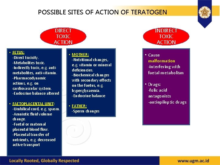 POSSIBLE SITES OF ACTION OF TERATOGEN DIRECT TOXIC ACTION • FETUS: -Direct toxicity. -Metabolites