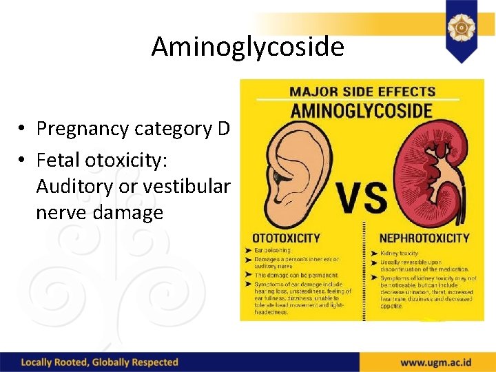 Aminoglycoside • Pregnancy category D • Fetal otoxicity: Auditory or vestibular nerve damage 
