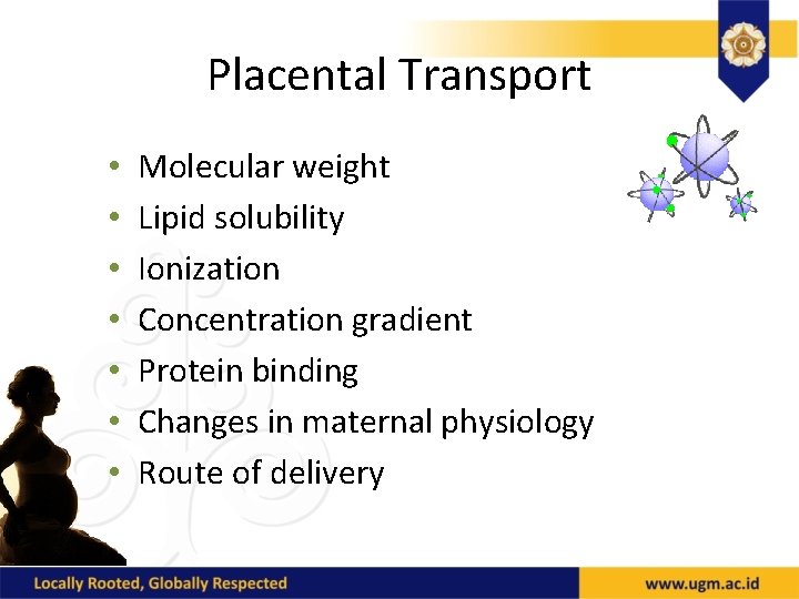Placental Transport • • Molecular weight Lipid solubility Ionization Concentration gradient Protein binding Changes