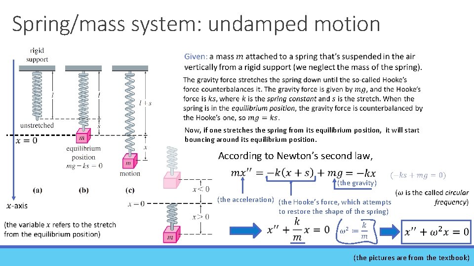 Spring/mass system: undamped motion Now, if one stretches the spring from its equilibrium position,