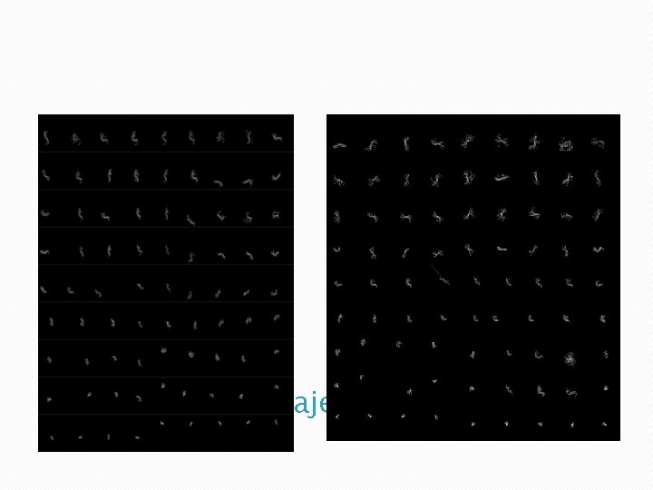 Day 1 VS Day 2 Trajectory Comparison 