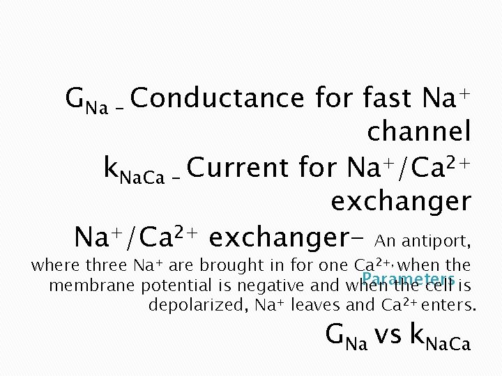 GNa – Conductance for fast Na+ channel k. Na. Ca – Current for Na+/Ca