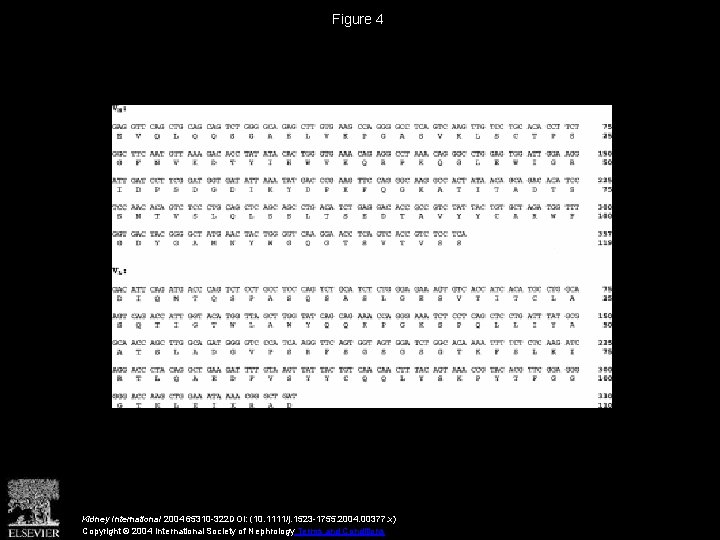 Figure 4 Kidney International 2004 65310 -322 DOI: (10. 1111/j. 1523 -1755. 2004. 00377.