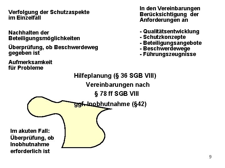 Verfolgung der Schutzaspekte im Einzelfall Nachhalten der Beteiligungsmöglichkeiten Überprüfung, ob Beschwerdeweg gegeben ist In