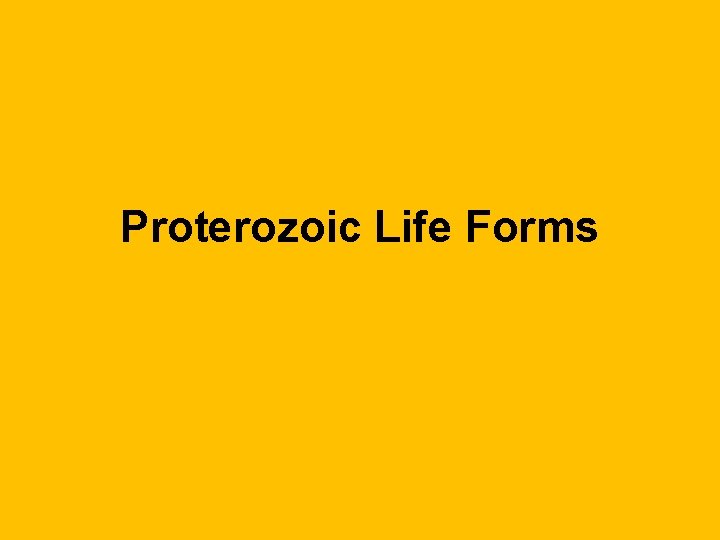 Proterozoic Life Forms 