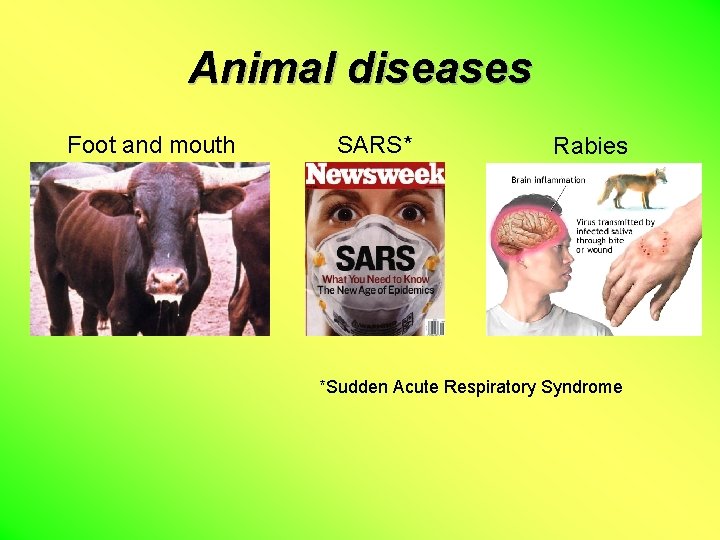 Animal diseases Foot and mouth SARS* Rabies *Sudden Acute Respiratory Syndrome 