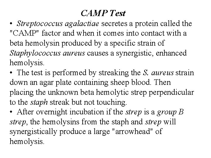 CAMP Test • Streptococcus agalactiae secretes a protein called the "CAMP" factor and when