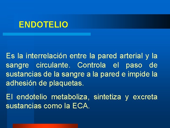 ENDOTELIO Es la interrelación entre la pared arterial y la sangre circulante. Controla el ENDOTELIO Es la interrelación entre la pared arterial y la sangre circulante. Controla el