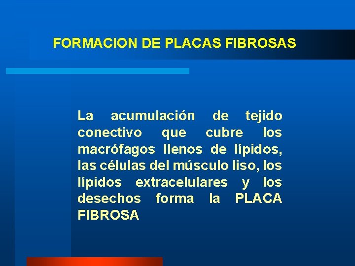 FORMACION DE PLACAS FIBROSAS La acumulación de tejido conectivo que cubre los macrófagos llenos FORMACION DE PLACAS FIBROSAS La acumulación de tejido conectivo que cubre los macrófagos llenos