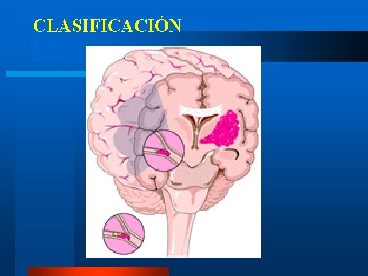 CLASIFICACIÓN CLASIFICACIÓN