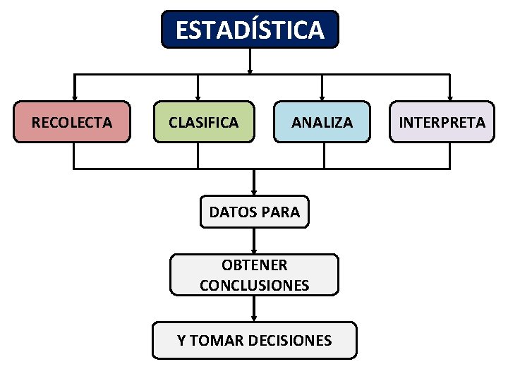 ESTADÍSTICA RECOLECTA CLASIFICA ANALIZA DATOS PARA OBTENER CONCLUSIONES Y TOMAR DECISIONES INTERPRETA 