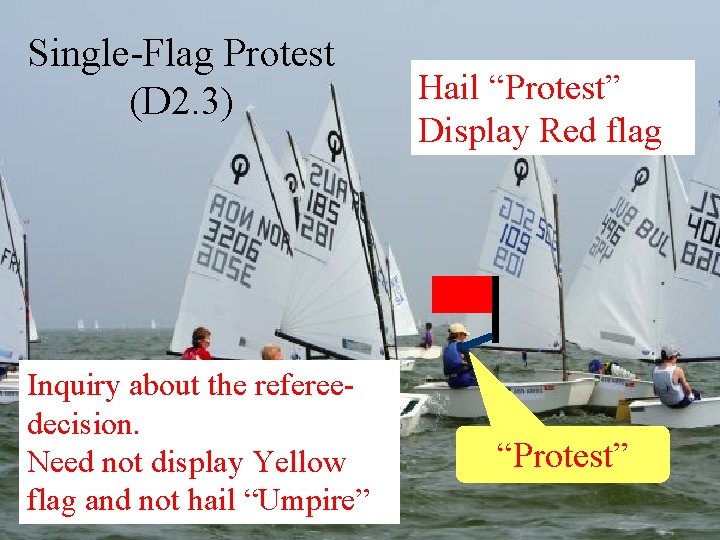 Single-Flag Protest (D 2. 3) Inquiry about the refereedecision. Need not display Yellow Breitbrunn