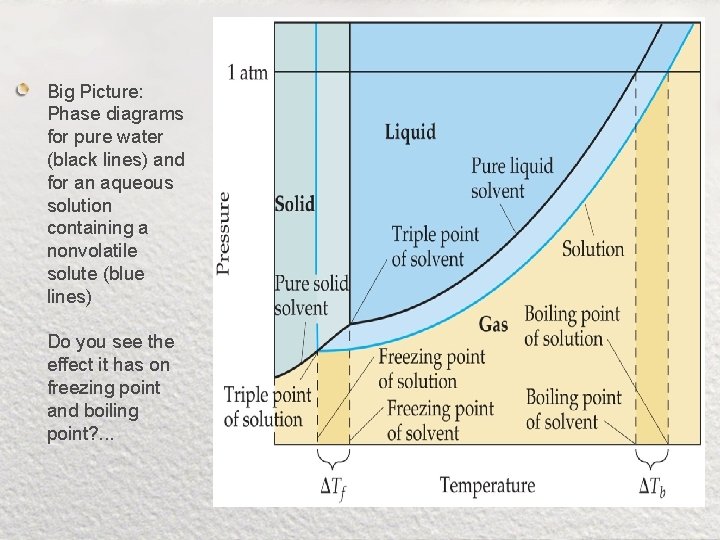Big Picture: Phase diagrams for pure water (black lines) and for an aqueous solution