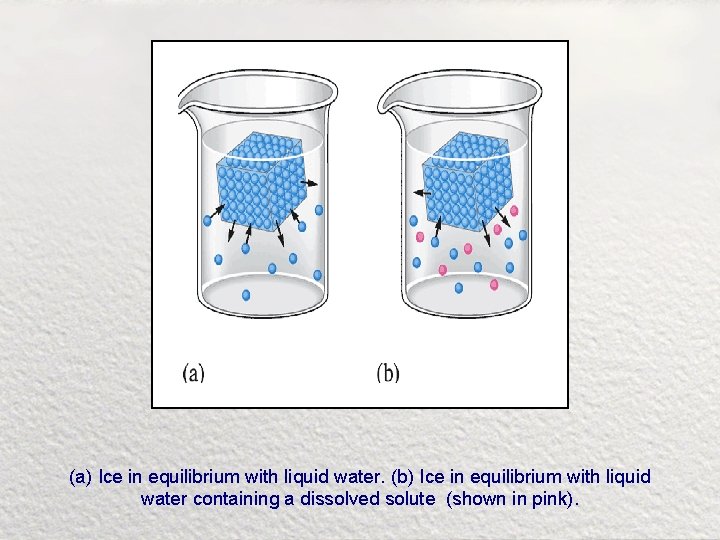 (a) Ice in equilibrium with liquid water. (b) Ice in equilibrium with liquid water