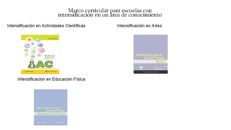 Marco curricular para escuelas con intensificación en un área de conocimiento Intensificación en Actividades