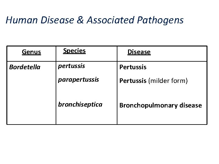 Human Disease & Associated Pathogens Genus Species Bordetella pertussis Pertussis parapertussis Pertussis (milder form)