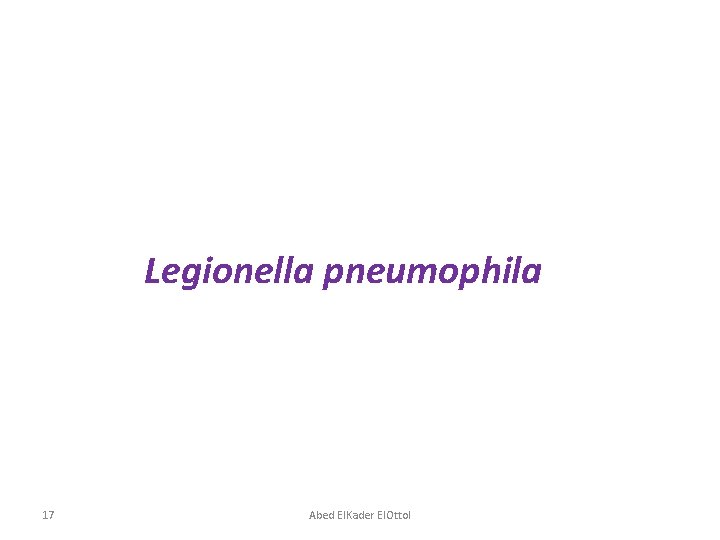 Legionella pneumophila 17 Abed El. Kader El. Ottol 