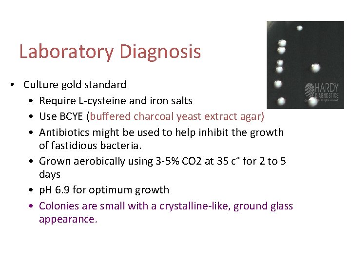 Laboratory Diagnosis • Culture gold standard • Require L-cysteine and iron salts • Use