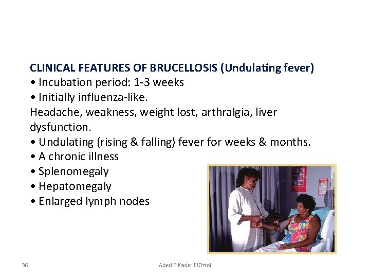 CLINICAL FEATURES OF BRUCELLOSIS (Undulating fever) • Incubation period: 1 -3 weeks • Initially