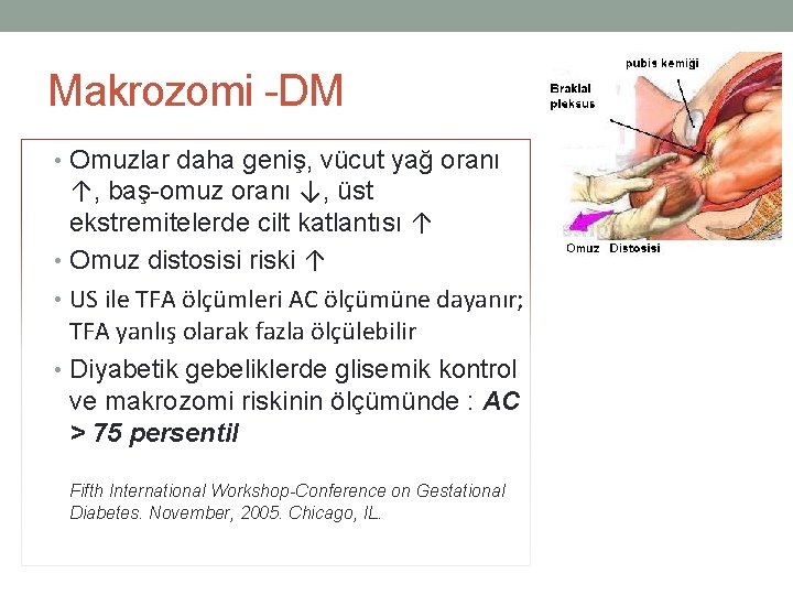 Makrozomi -DM • Omuzlar daha geniş, vücut yağ oranı ↑, baş-omuz oranı ↓, üst