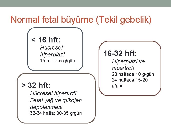 Normal fetal büyüme (Tekil gebelik) < 16 hft: Hücresel hiperplazi 15 hft → 5