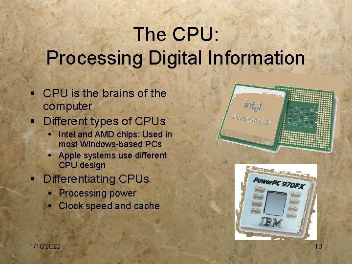 The CPU: Processing Digital Information § CPU is the brains of the computer §