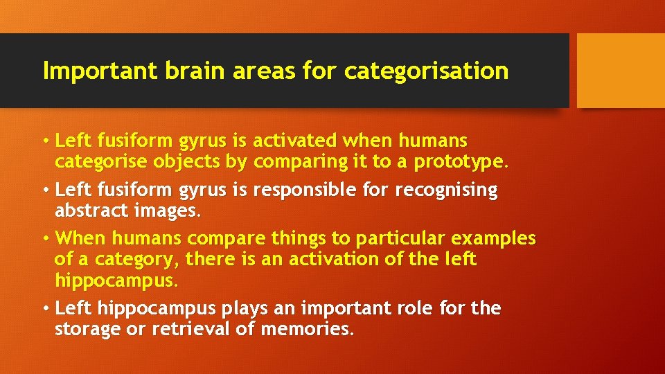 Important brain areas for categorisation • Left fusiform gyrus is activated when humans categorise