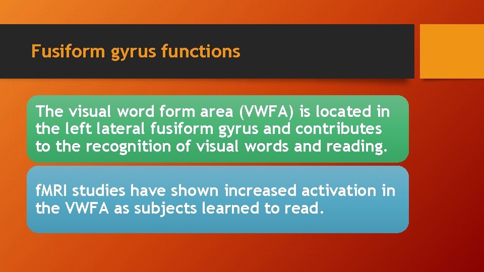 Fusiform gyrus functions The visual word form area (VWFA) is located in the left