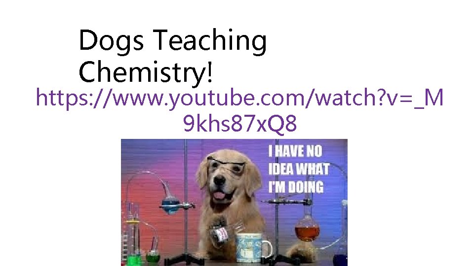 Dogs Teaching Chemistry! https: //www. youtube. com/watch? v=_M 9 khs 87 x. Q 8