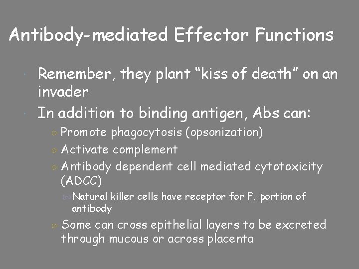 Antibody-mediated Effector Functions Remember, they plant “kiss of death” on an invader In addition