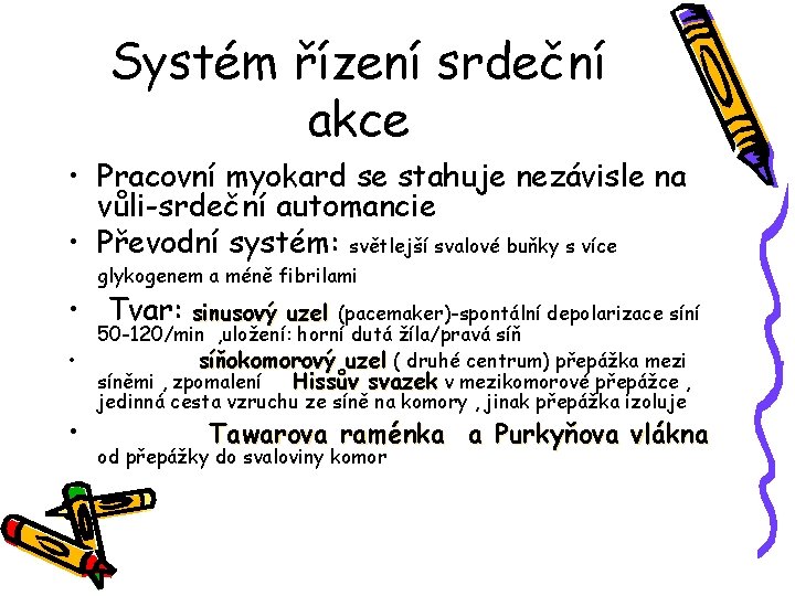 Systém řízení srdeční akce • Pracovní myokard se stahuje nezávisle na vůli-srdeční automancie •