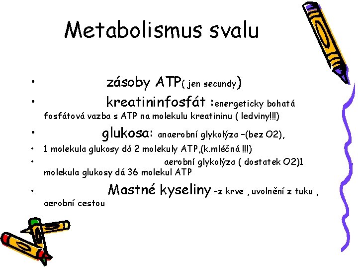 Metabolismus svalu • • • zásoby ATP( jen secundy) kreatininfosfát : energeticky bohatá fosfátová