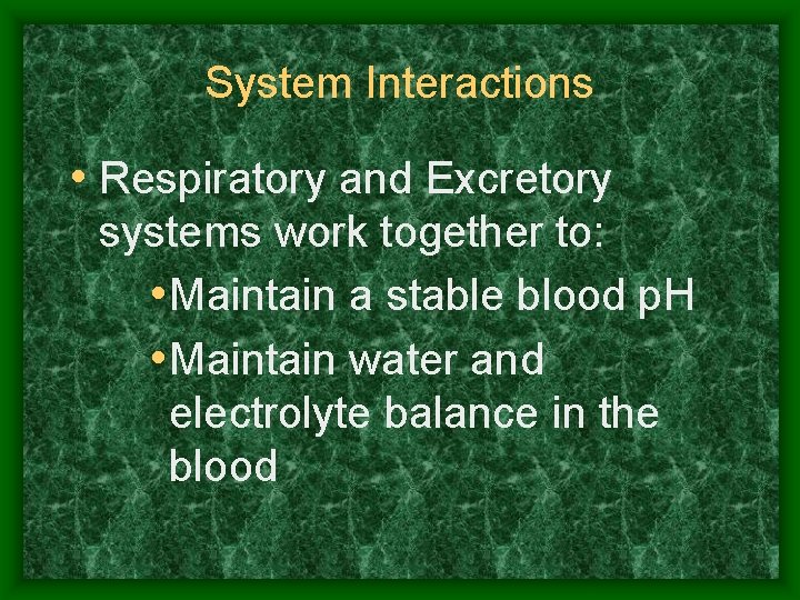 System Interactions • Respiratory and Excretory systems work together to: • Maintain a stable