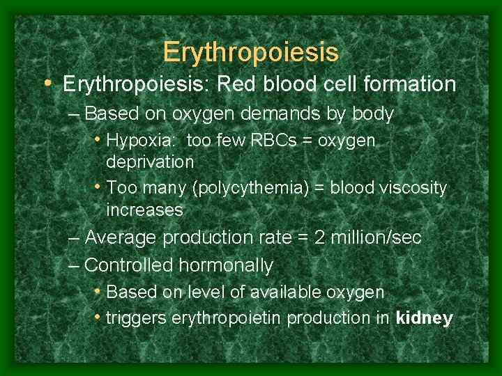 Erythropoiesis • Erythropoiesis: Red blood cell formation – Based on oxygen demands by body