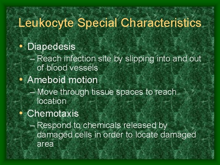 Leukocyte Special Characteristics • Diapedesis – Reach infection site by slipping into and out