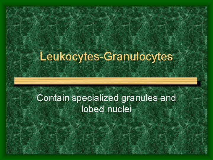 Leukocytes-Granulocytes Contain specialized granules and lobed nuclei 