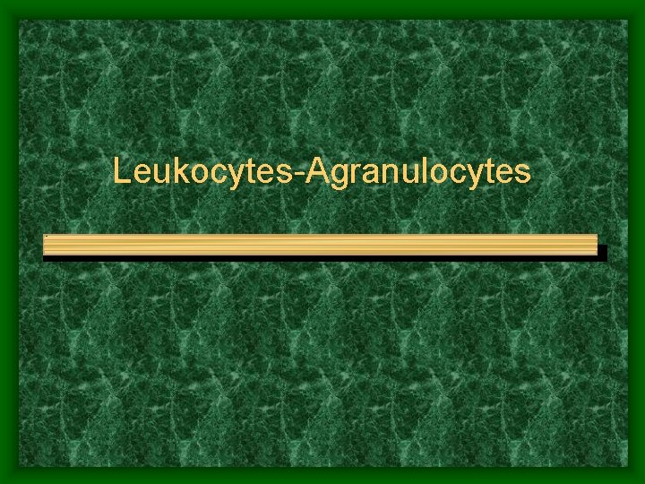 Leukocytes-Agranulocytes 