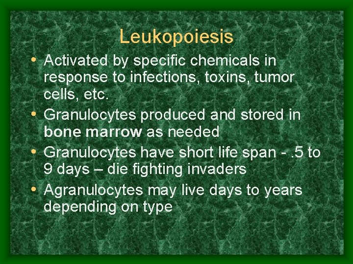 Leukopoiesis • Activated by specific chemicals in response to infections, toxins, tumor cells, etc.